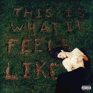 Vinyl THIS IS WHAT IT FEELS LIKE