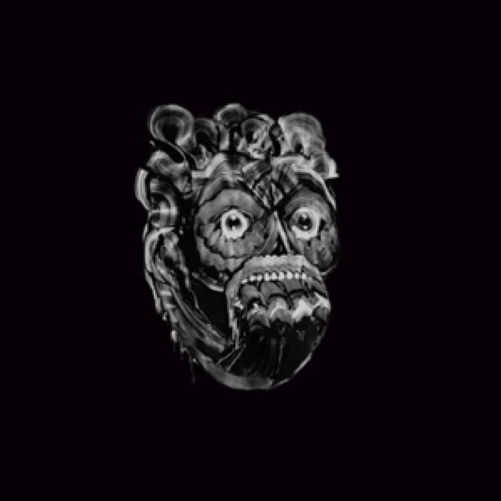 CD VVOVNDS - DESCENDING FLESH