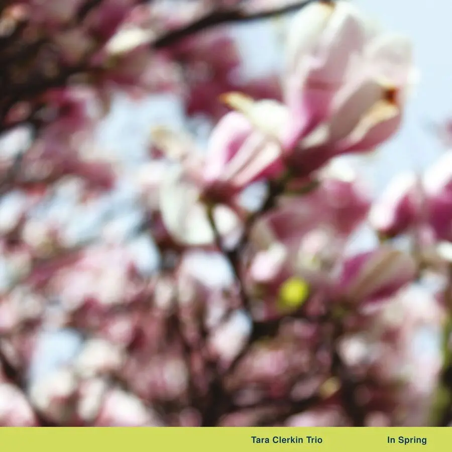 Vinyl IN SPRING