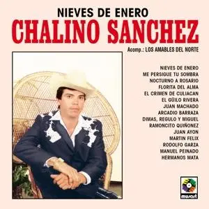 Vinyl NIEVES DE ENERO