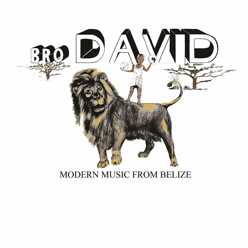 Vinyl BRO DAVID - MODERN MUSIC FROM BELIZE