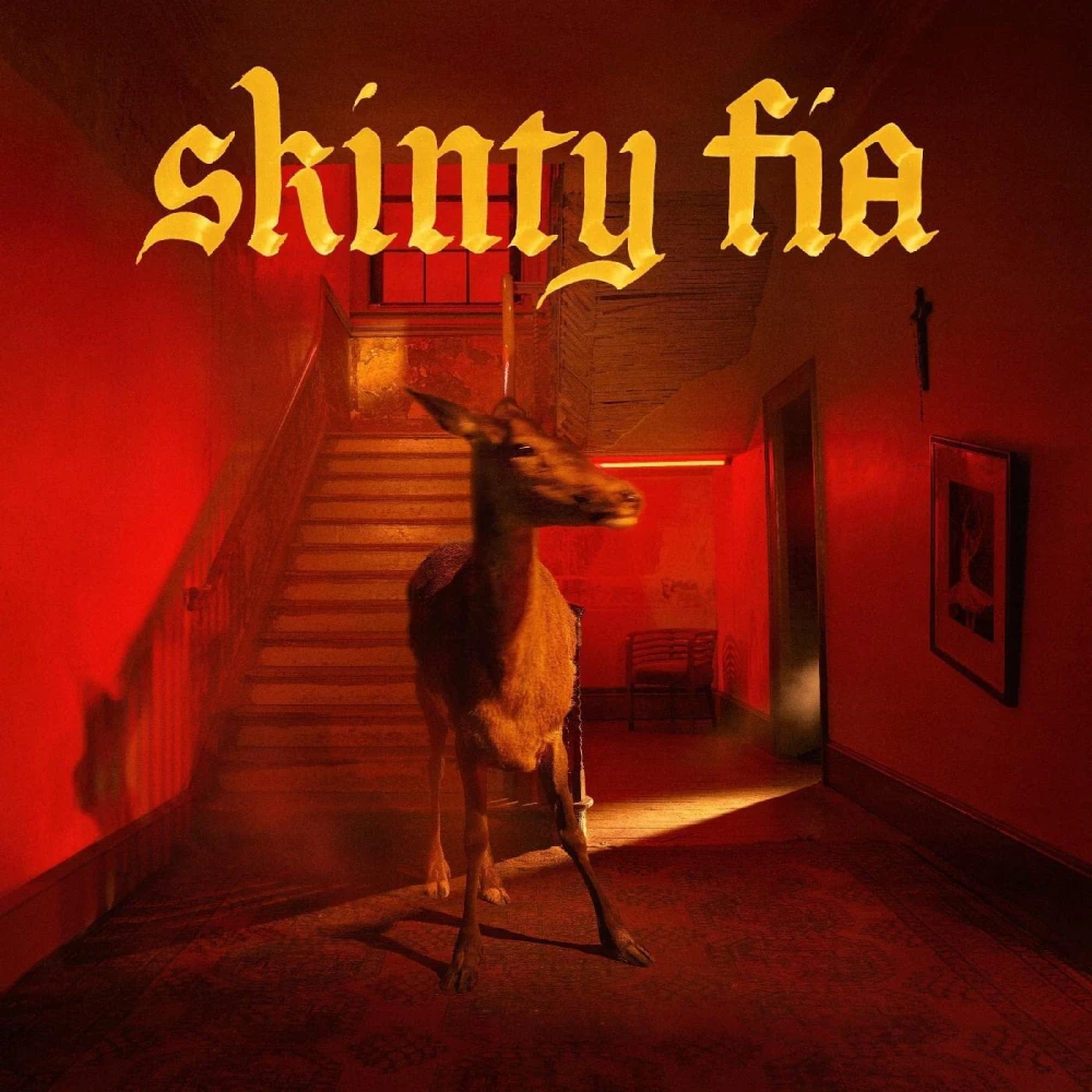 CD SKINTY FIA