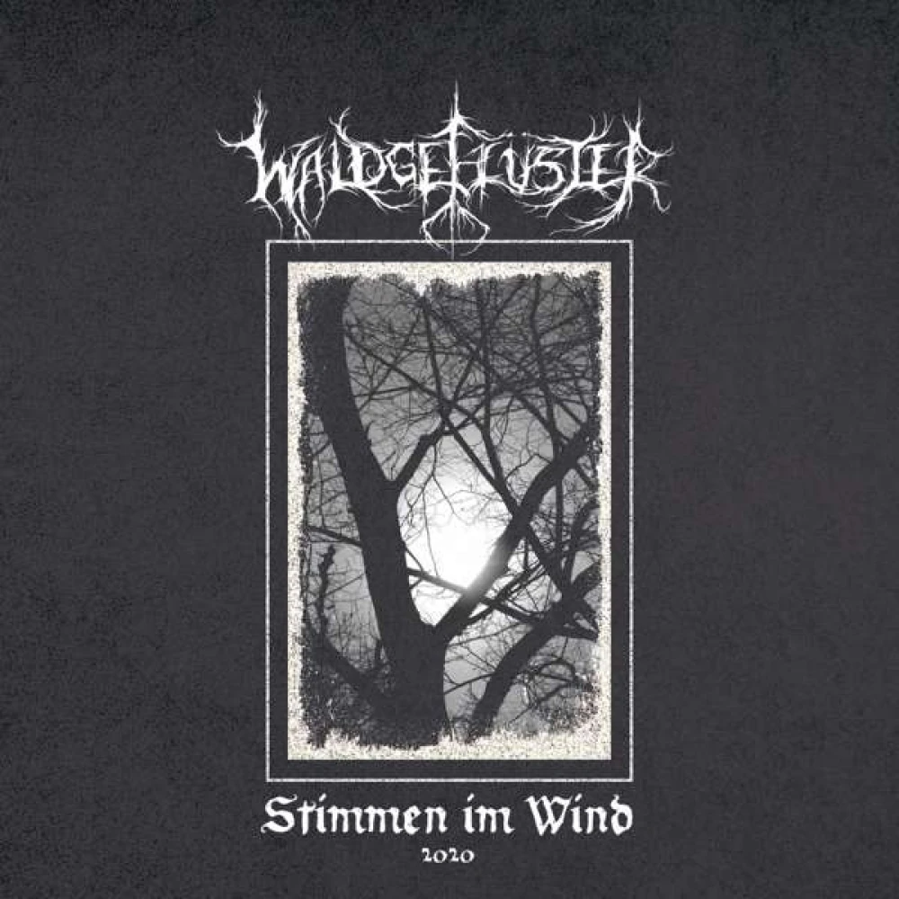 Vinyl Waldgefluster - Stemmen Im Wind 2020