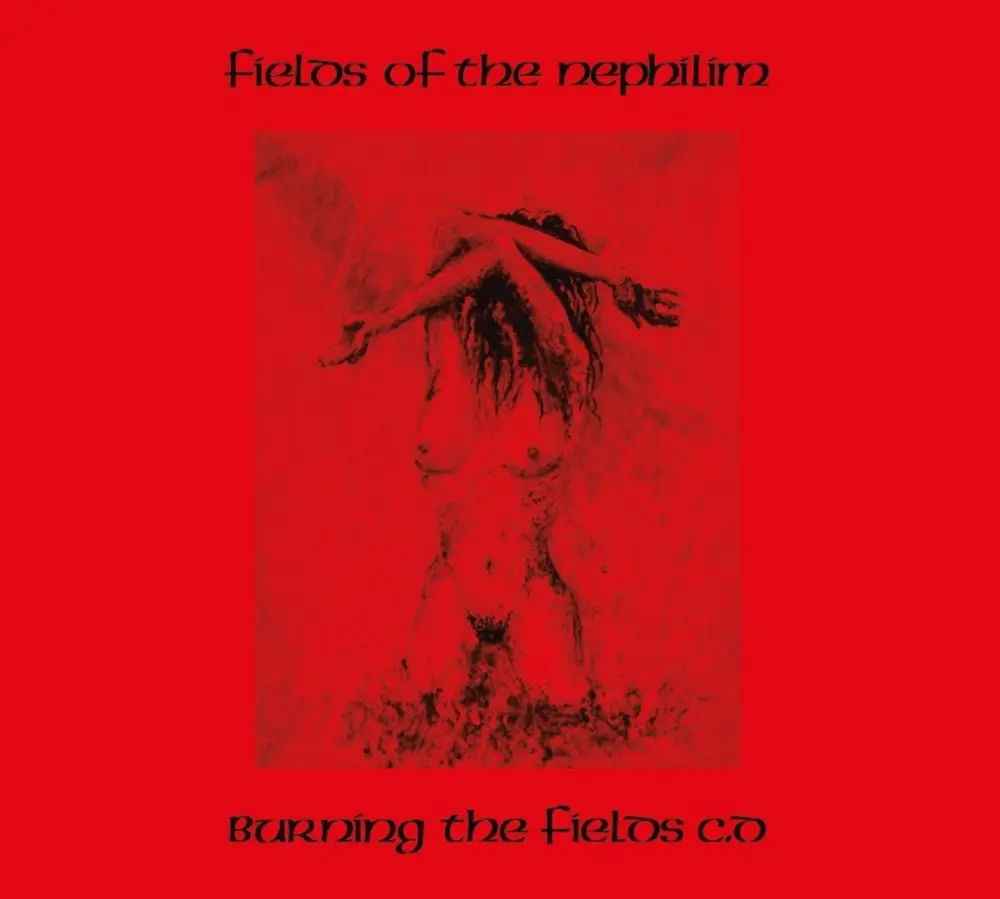 CD BURNING THE FIELDS