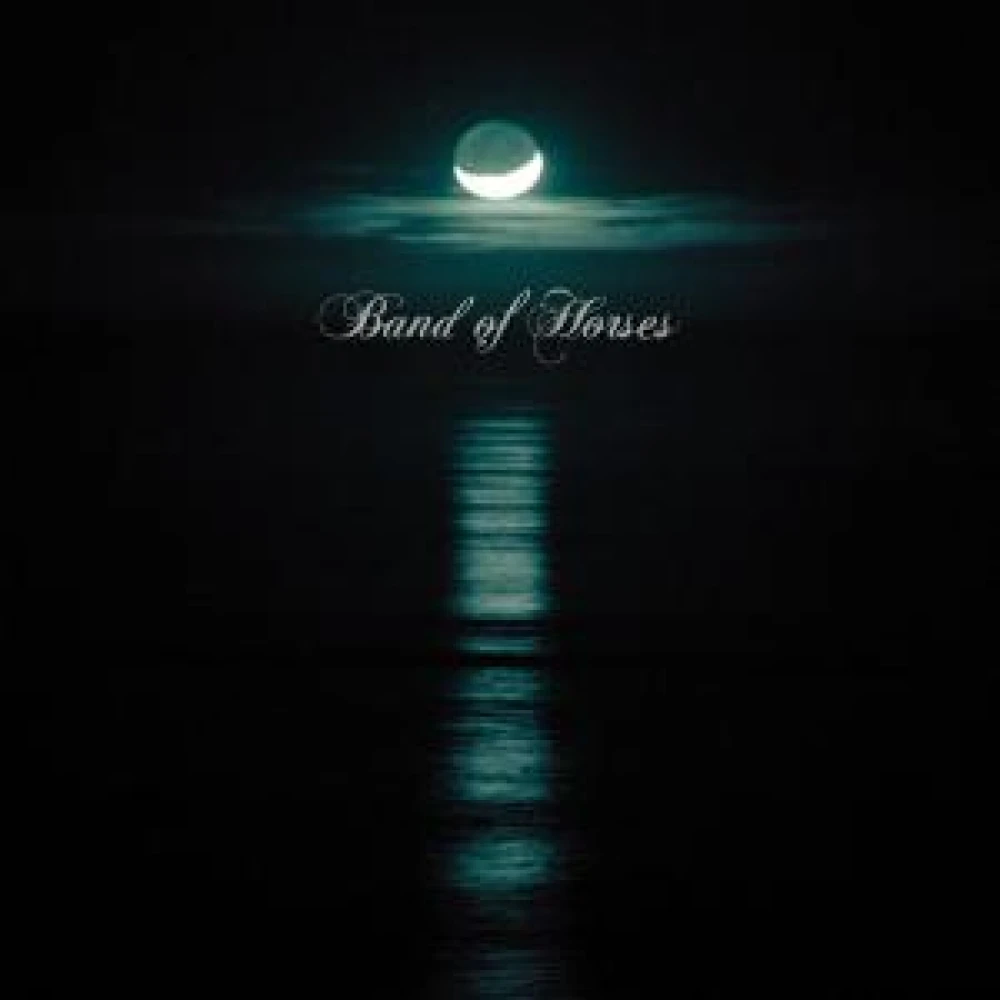 Vinyl CEASE TO BEGIN