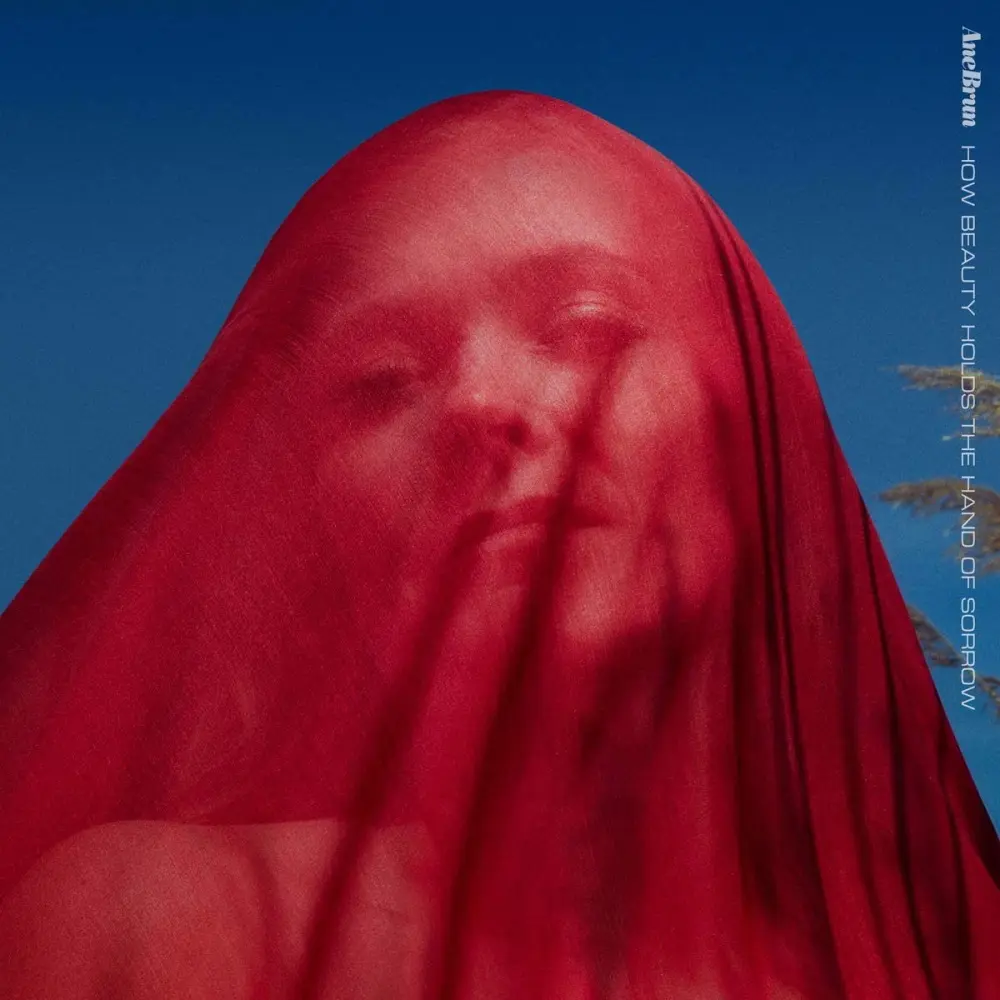 CD HOW BEAUTY HOLDS THE HAND OF SORROW