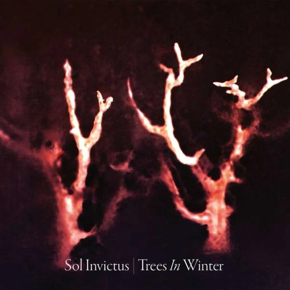 CD SOL INVICTUS - TREES IN WINTER