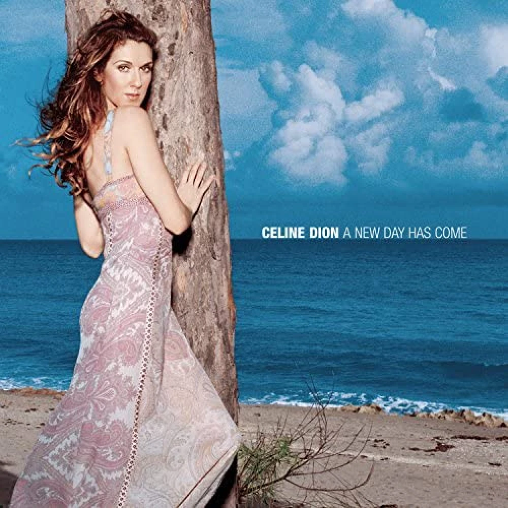 CD A New Day Has Come