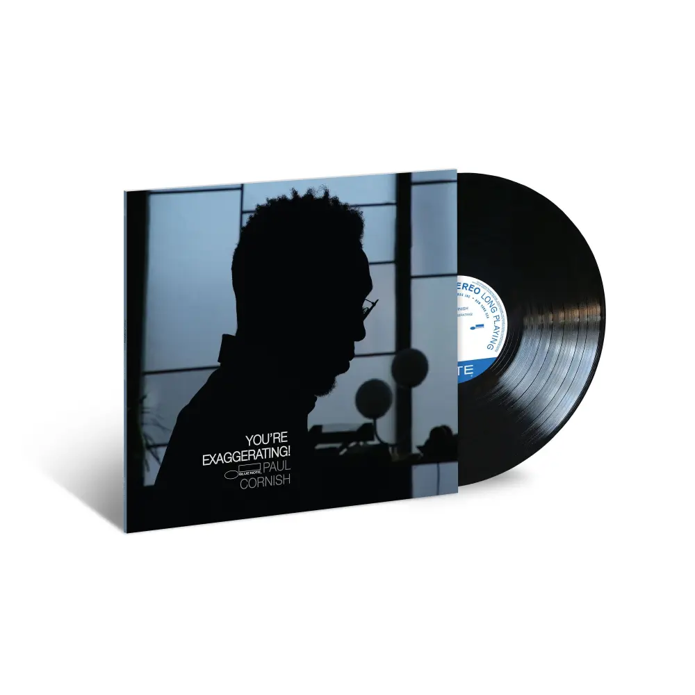Vinyl YOU'RE EXAGGERATING|