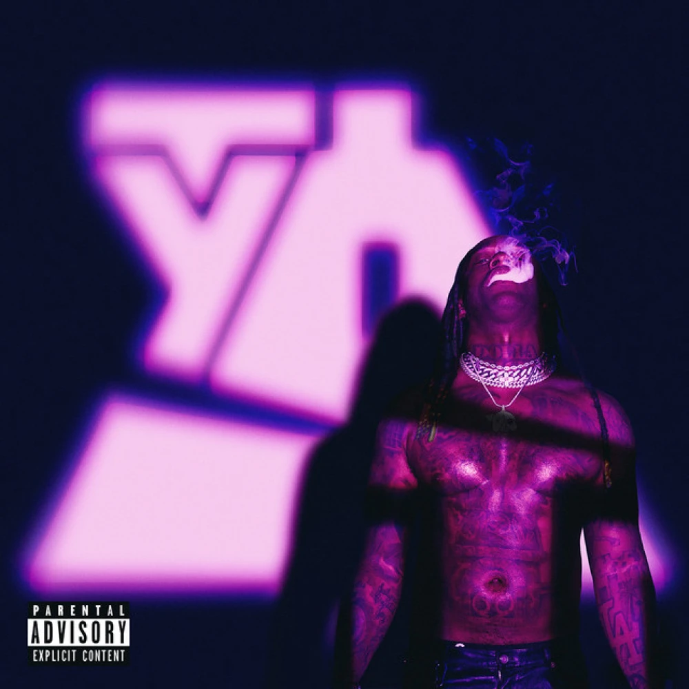 Vinyl Featuring Ty Dolla $ign