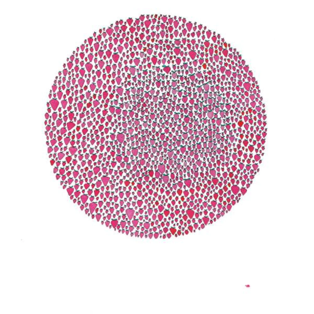 CD BROWN, JULIA - AN ABUNDANCE OF STRAWBERRIES