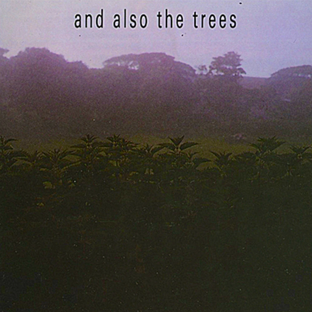 CD AND ALSO THE TREES - AND ALSO THE TREES