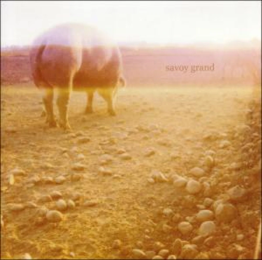CD SAVOY GRAND - ACCIDENT BOOK