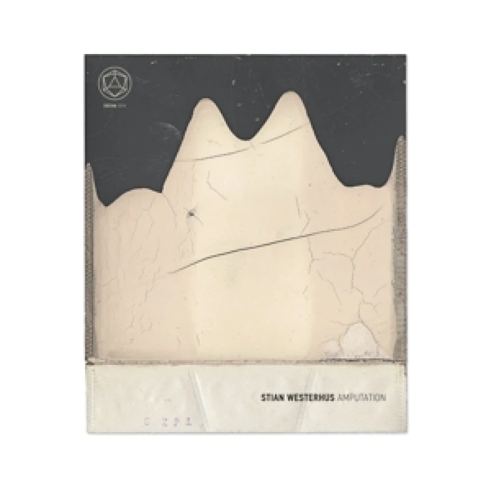 CD STIAN WESTERHUS - AMPUTATION
