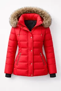 MOSAIC winter thumbnail