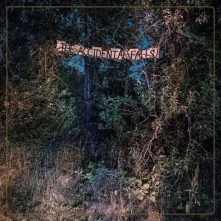 CD EYELIDS - ACCIDENTAL FALLS