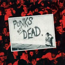Vinyl PUNKS NOT DEAD
