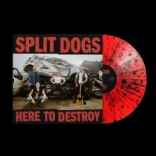 Vinyl HERE TO DESTROY