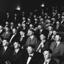 Vinyl THE ENTERTAINMENT