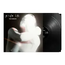 Vinyl NIGHT LIFE