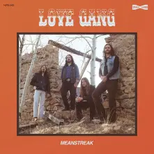 Vinyl Meanstreak
