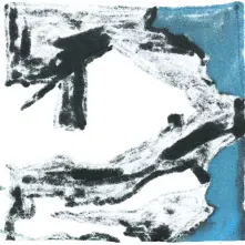 Vinyl Accessory - Dust