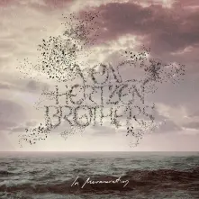 CD IN MURMURATION