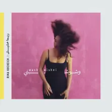 CD WASHWISHNI