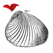 Vinyl ELDH, PETTER & KOMA SAXO - KOMA WEST