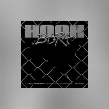 CD Hook