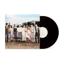 Vinyl Right Place, Wrong Person