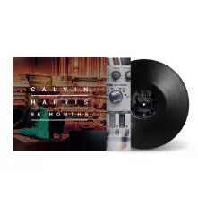 Vinyl 96 Months