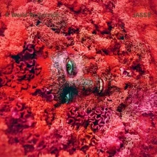 Vinyl JASSS - A WORLD OF SERVICE