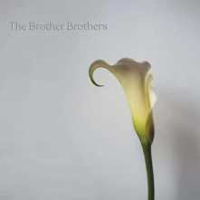 CD CALLA LILY