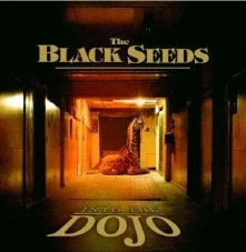 Płyta winylowa BLACK SEEDS - INTO THE DOJO