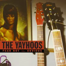Vinyl FEAR NOT THE OBVIOUS