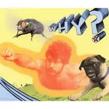 CD RUBBER TRAITS -MCD-