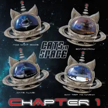 CD CHAPTER 1