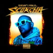 Vinyl SCORCHA