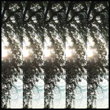 CD DIALECTIC OF IGNORENCE