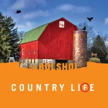 Vinyl Country Life (Sun Orange / Grass Green Vinyl)