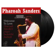 Vinyl Welcome To Love