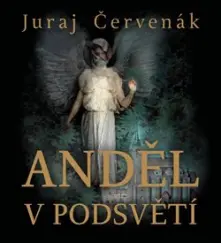 CD Anděl v podsvětí (2x Audio na CD - MP3)