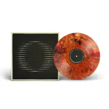 Vinyl FADING BACKWARDS