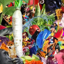 CD THE RADIANT RADISH