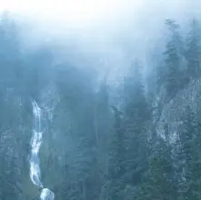 Vinyl Wolves In the Throne Room - Diadem of 12 Stars