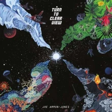 CD ARMON-JONES, JOE - TURN TO CLEAR VIEW
