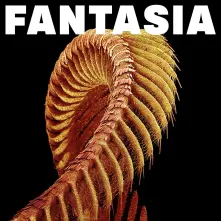 CD FANTASIA