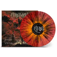 Vinyl MORBID VISIONS