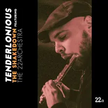 Vinyl THE SHAKEDOWN FEAT. THE 22ARCHESTRA